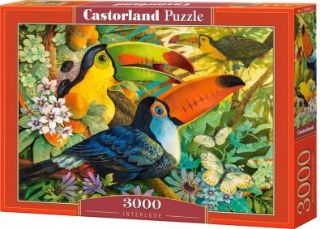 Obrázek z Puzzle tukani 3000 dílků 
